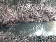 Destaponan empalizada en el r&iacute;o Lili