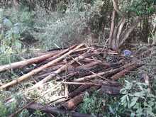 Destaponan empalizada en el r&iacute;o Lili