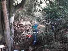 Destaponan empalizada en el r&iacute;o Lili