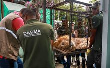 As&iacute; transcurri&oacute; la jornada de regreso a casa de &ldquo;J&uacute;piter&rdquo;