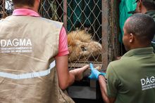 As&iacute; transcurri&oacute; la jornada de regreso a casa de &ldquo;J&uacute;piter&rdquo;