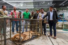 As&iacute; transcurri&oacute; la jornada de regreso a casa de &ldquo;J&uacute;piter&rdquo;