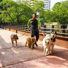 Nuevo puente en el coraz&oacute;n del arte cale&ntilde;o