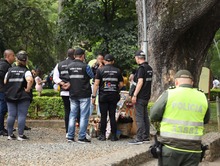 El Gato m&aacute;s representativo de Cali recuper&oacute; su espacio p&uacute;blico 