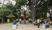 El Gato m&aacute;s representativo de Cali recuper&oacute; su espacio p&uacute;blico 