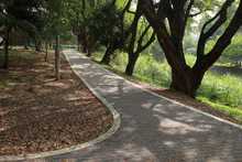 Puente peatonal Museo la Tertulia - Casa Obeso