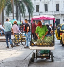 Piden orden y autoridad para convivir con vendedores informales