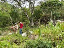 Infraestructura participa en la prevenci&oacute;n de nuevas invasiones