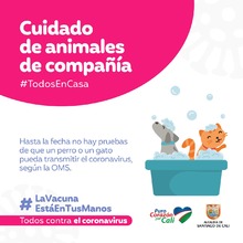 Recomendaciones para cuidar los animales de compa&ntilde;&iacute;a en tiempos de pandemia