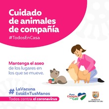 Recomendaciones para cuidar los animales de compa&ntilde;&iacute;a en tiempos de pandemia