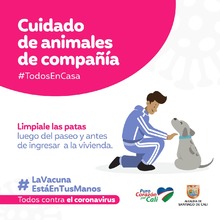 Recomendaciones para cuidar los animales de compa&ntilde;&iacute;a en tiempos de pandemia