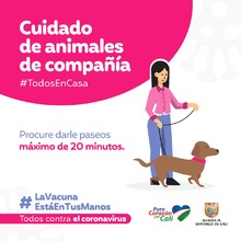 Recomendaciones para cuidar los animales de compa&ntilde;&iacute;a en tiempos de pandemia