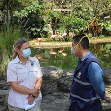 Alcald&iacute;a, Dagma y CVC, comprometidos con el Zool&oacute;gico de Cali