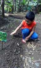 Un proyecto de huerta escolar forma conciencia ambiental en tiempos de confinamiento