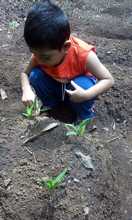 Un proyecto de huerta escolar forma conciencia ambiental en tiempos de confinamiento