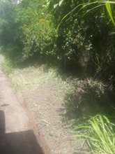 Recolecci&oacute;n de escombros se realiz&oacute; con &eacute;xito en el sector de La Luisa