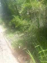 Recolecci&oacute;n de escombros se realiz&oacute; con &eacute;xito en el sector de La Luisa