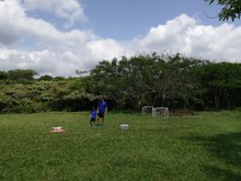 Plan de silvicultura urbana, en b&uacute;squeda de la renaturalizaci&oacute;n de Cali