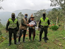 La seguridad alimentaria lleg&oacute; a la ruralidad con 4.710 ayudas