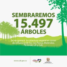 En el marco del &lsquo;D&iacute;a del &Aacute;rbol&rsquo;, Infraestructura sembrar&aacute; 27205 especies