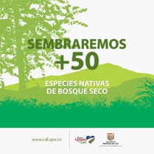 En el marco del &lsquo;D&iacute;a del &Aacute;rbol&rsquo;, Infraestructura sembrar&aacute; 27205 especies