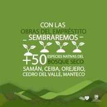 En el marco del &lsquo;D&iacute;a del &Aacute;rbol&rsquo;, Infraestructura sembrar&aacute; 27205 especies