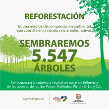 En el marco del &lsquo;D&iacute;a del &Aacute;rbol&rsquo;, Infraestructura sembrar&aacute; 27205 especies