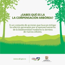 En el marco del &lsquo;D&iacute;a del &Aacute;rbol&rsquo;, Infraestructura sembrar&aacute; 27205 especies