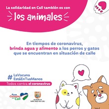 #LaVacunaEstaEnTusManos