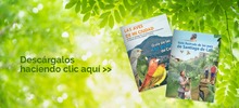 Libro y gu&iacute;a de aves de Cali