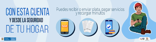 Ingreso solidario 01