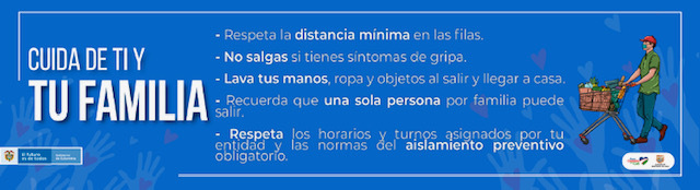 Ingreso solidario 02