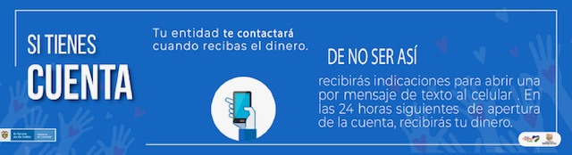 Ingreso solidario 03