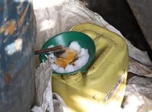 Incautado alambique de viche ilegal, en la zona del Jarill&oacute;n 