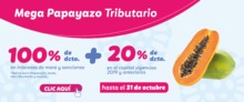 Banner home principal papayazo - mayo 27.png