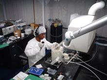 Dos cient&iacute;ficos cale&ntilde;os dejan su impronta en la revista m&aacute;s prestigiosa de biotecnolog&iacute;a