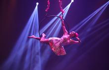 Magia, talento  y color se vivi&oacute; en la marat&oacute;n de circo