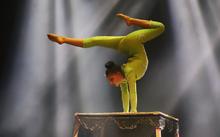 Magia, talento  y color se vivi&oacute; en la marat&oacute;n de circo