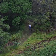 Inicia proceso de restituci&oacute;n del sector invadido en Altos de Los Cristales 