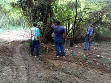 DAGMA detiene actividad que causar&iacute;a da&ntilde;o ambiental  