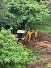 DAGMA detiene actividad que causar&iacute;a da&ntilde;o ambiental  