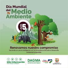 D&iacute;a de ambiente