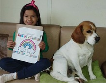 Una comunidad de aprendizaje que integra saberes a trav&eacute;s del juego