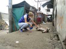 Amor y alimento para nuestros animales