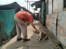 Amor y alimento para nuestros animales