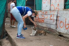 Amor y alimento para nuestros animales