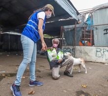 Amor y alimento para nuestros animales