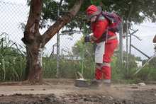 10 mil metros cuadrados de &aacute;reas p&uacute;blicas despejadas, resultado de operativo de limpieza al oriente de Cali