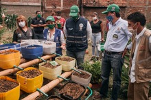 Sembrando vida para cosechar paz en el barrio charco azul