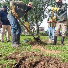 Parque de Jovita, embellecido y libre de hormiga arriera